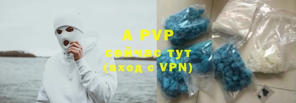 прущие крисы Богданович