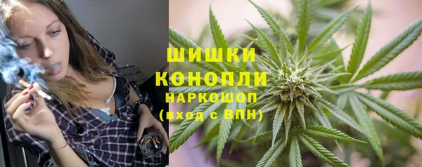 прущая мука Богородск